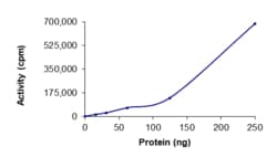 Sino Biological&nbsp;Recombinant Human TrkA Protein (G595R, G667A, GST Tag), Active